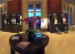 The exhibition panorama