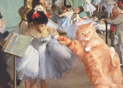 The Dance Class Metropolitan Cat