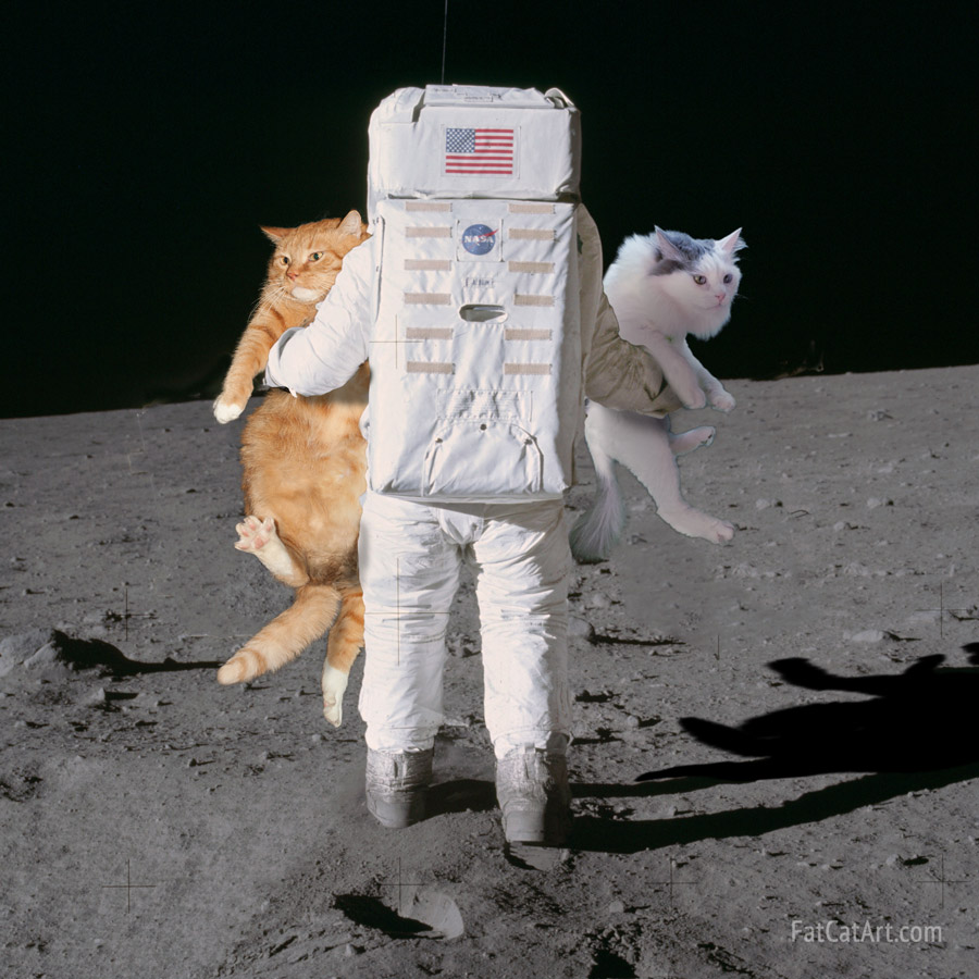 Buzz Aldrin deploys Apollo 11 cats. The hidden photo from NASA revealed!