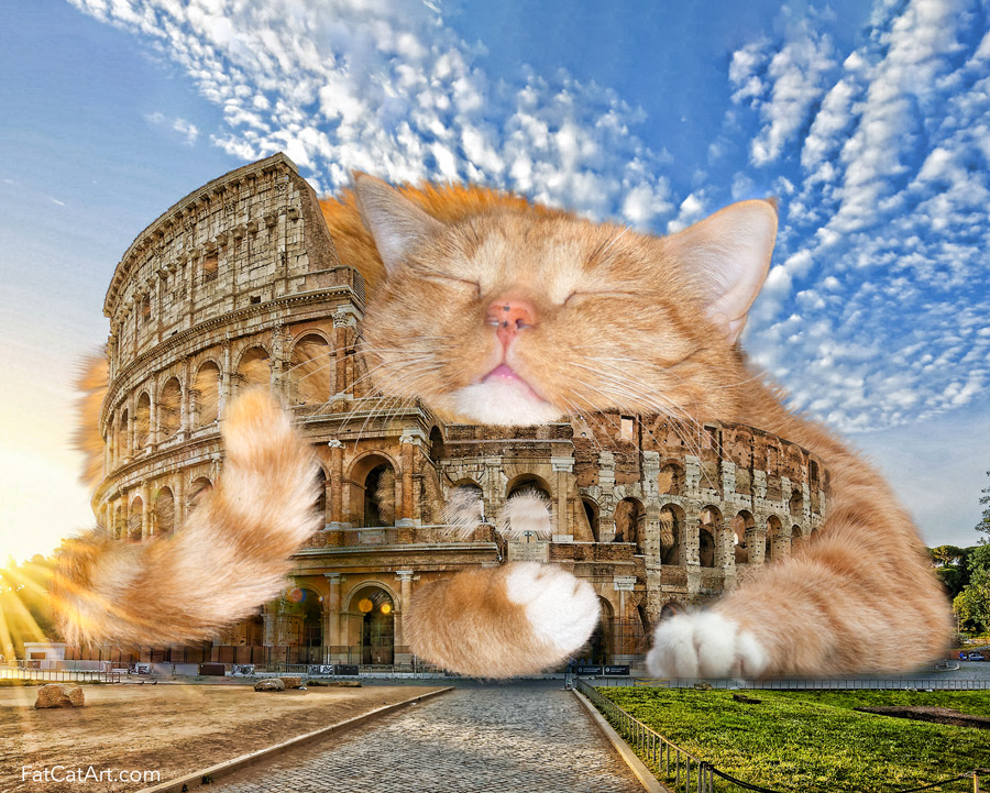 The Colosseum cat is colossal