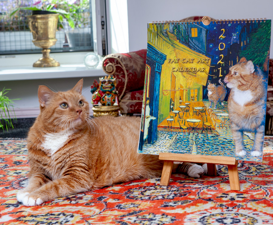 Zarathustra the Cat with his 2021 Calendar