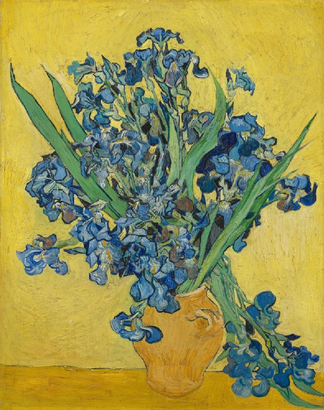 Vincent van Gogh, Irises, Van Gogh Museum, Amsterdam
